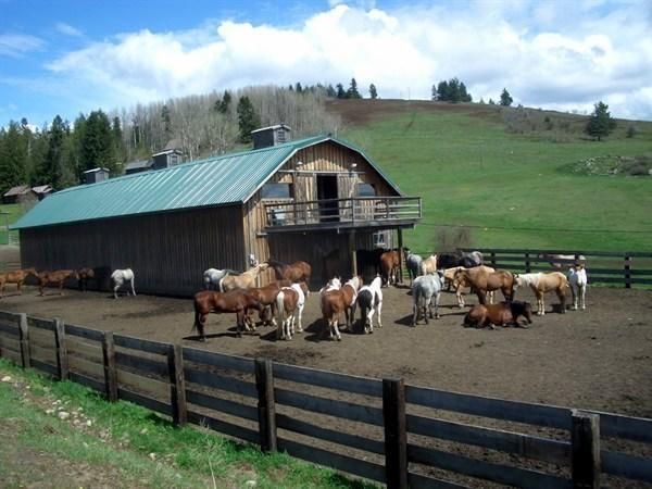 Готель Bull Hill Guest Ranch Marble Екстер'єр фото